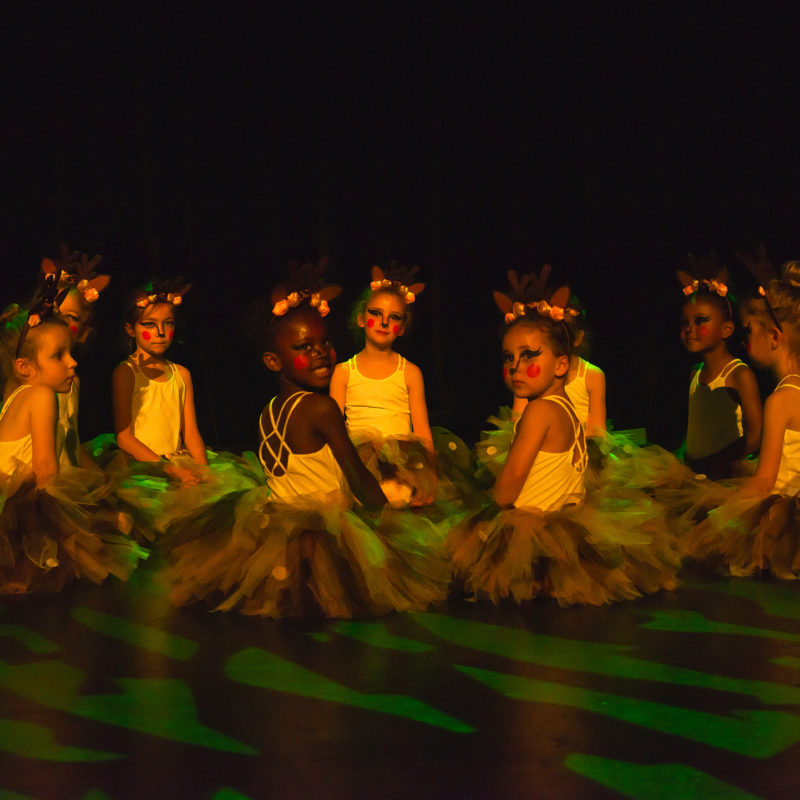 danse classique - école cap-arts - issy-les-moulineaux