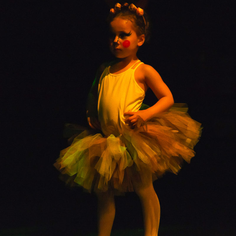 danse classique - école cap-arts - issy-les-moulineaux