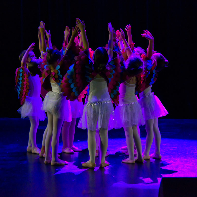 danse classique - école cap-arts - issy-les-moulineaux