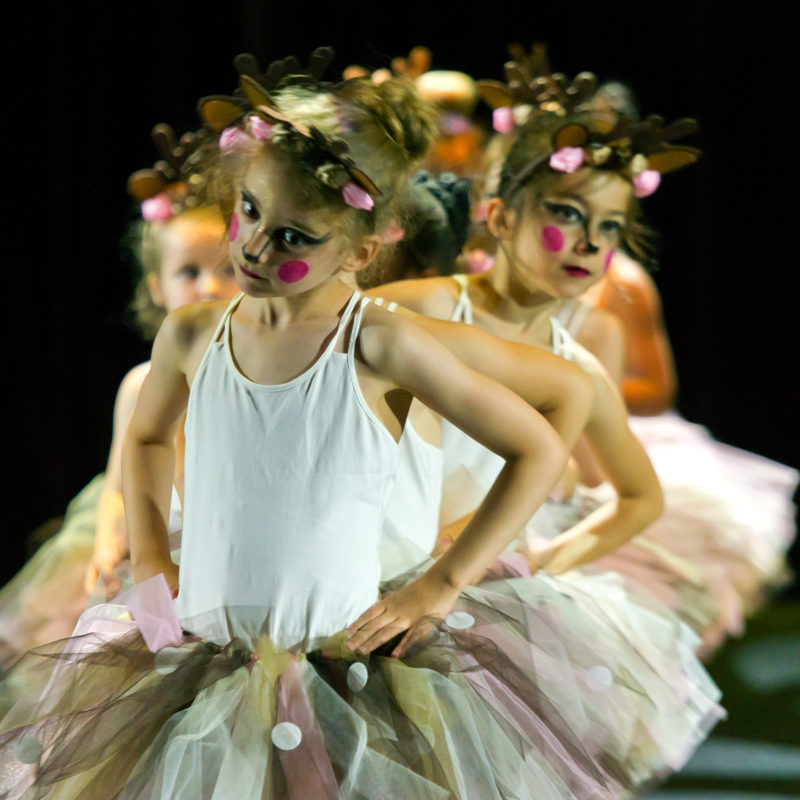 danse classique - école cap-arts - issy-les-moulineaux