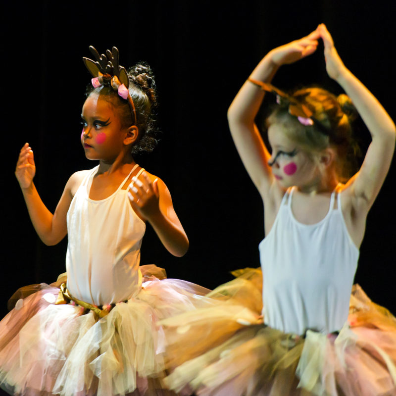 danse classique - école cap-arts - issy-les-moulineaux